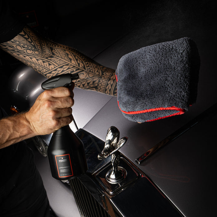 LOTOS SPEED – Tüm Yüzeyler İçin Hızlı Koruyucu (Tekstil Hariç)